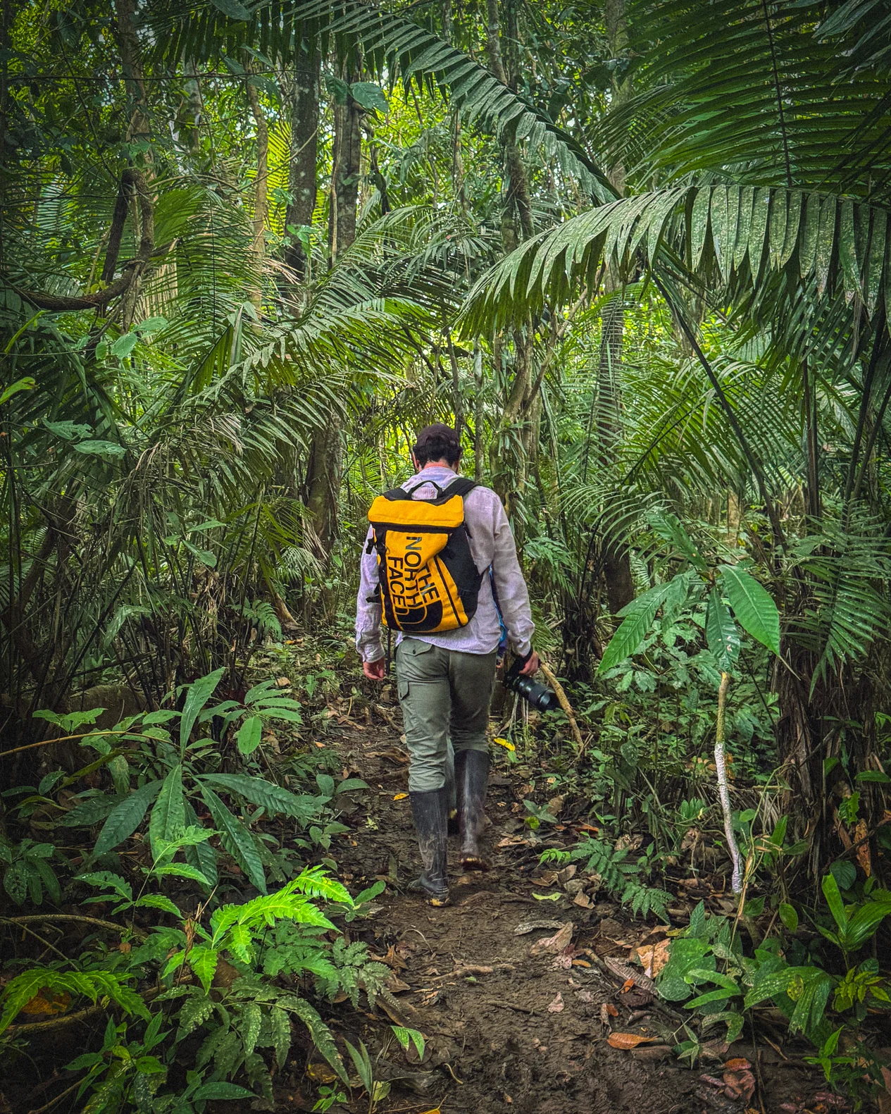 Javi walking along a trail through a dense rainforest in Peru