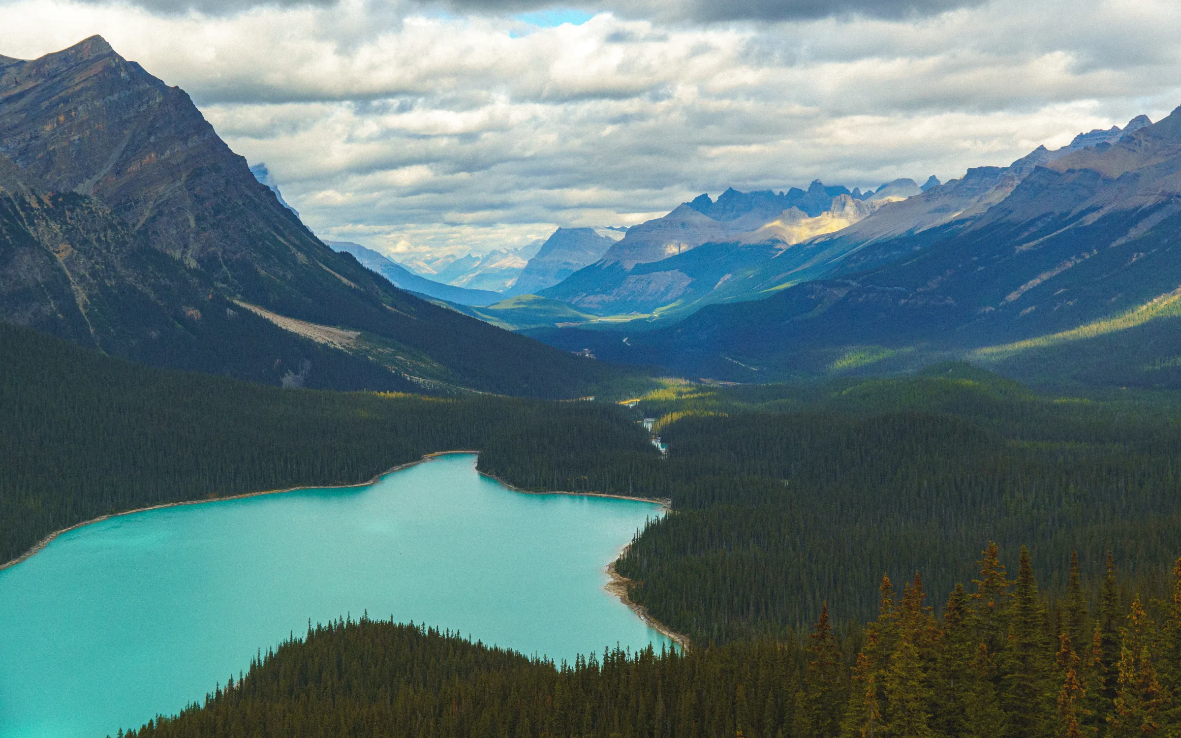 Peyto Lake winding between forested mountains in Canada